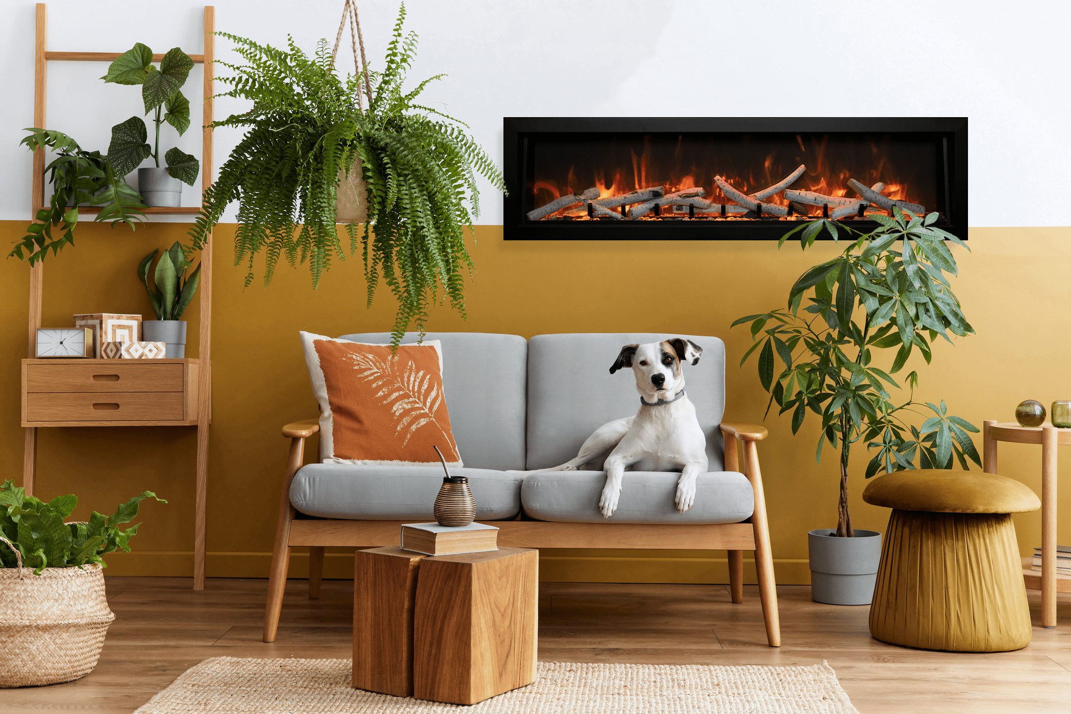 Amantii BI XT Deep with Birch Logset