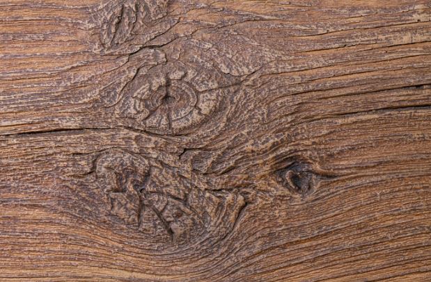 910fffb2 198e 4c88 939f 34bc547fb411